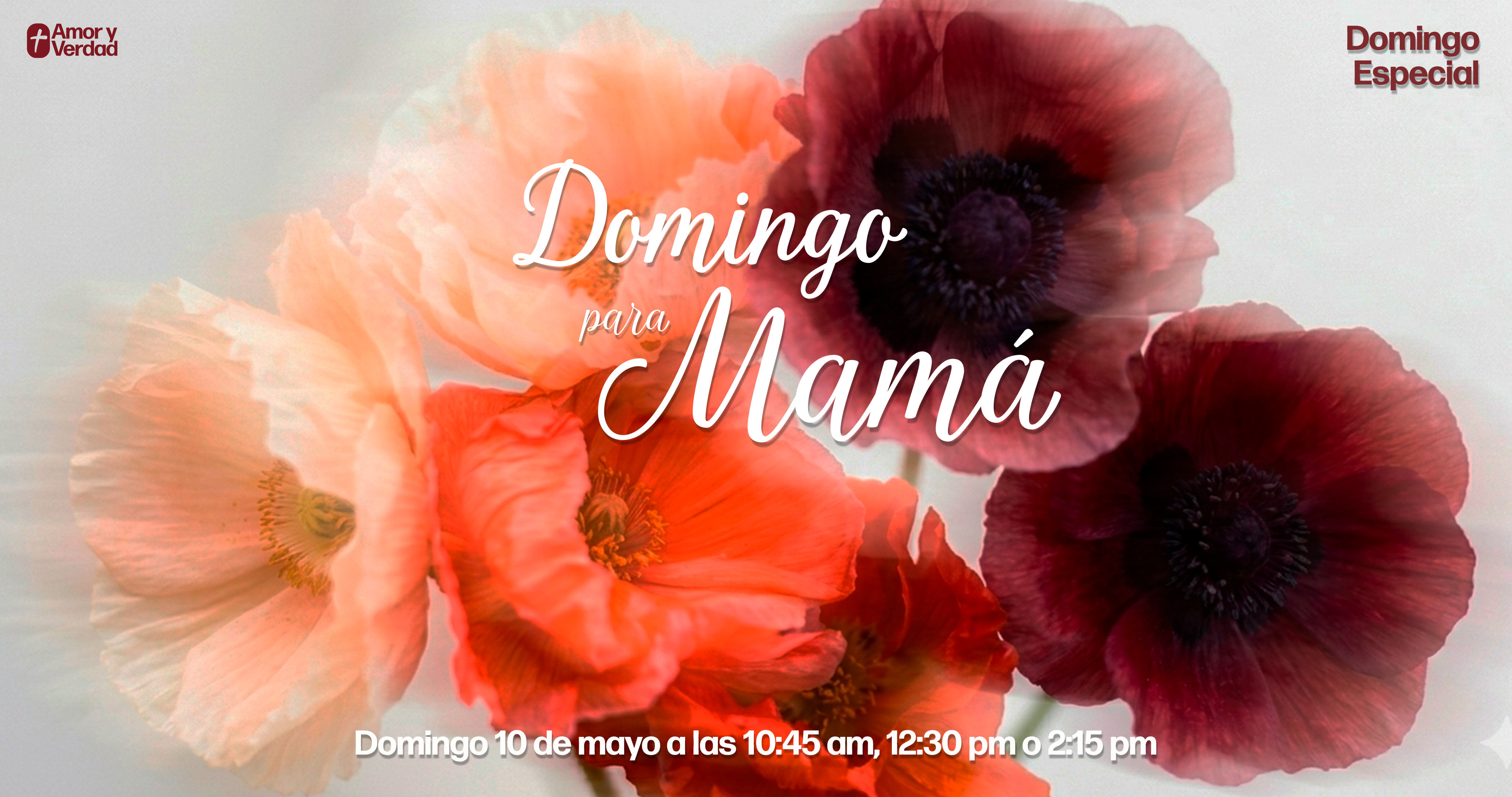 Dia de las Madres